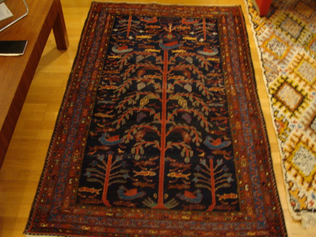 Tapis de laine Dsc04948