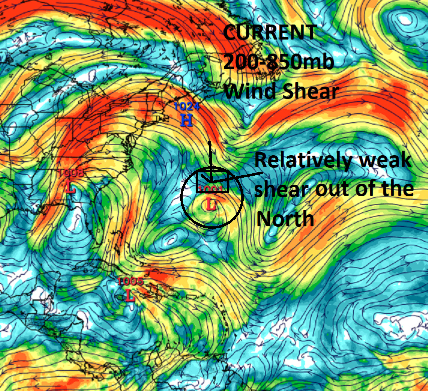 1 -  2021 Tropical Season - Page 5 20085010