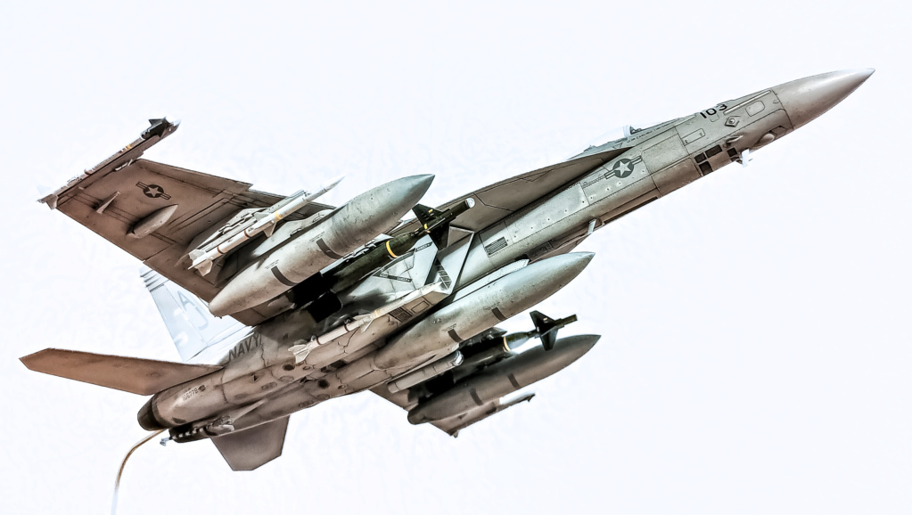 F18 MENG 1/48 Img20213