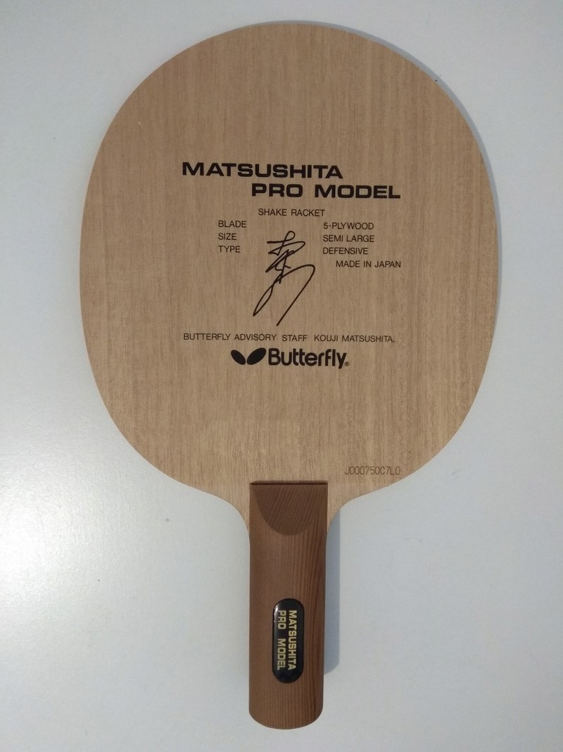 Matsushita pro model Pro_mo10