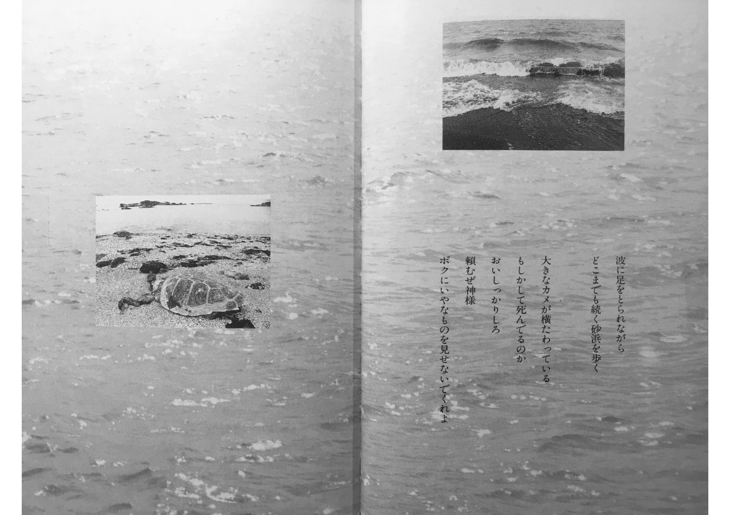 Koibumi (Love Letters) / (Lettres d'amour) - Page 2 5310