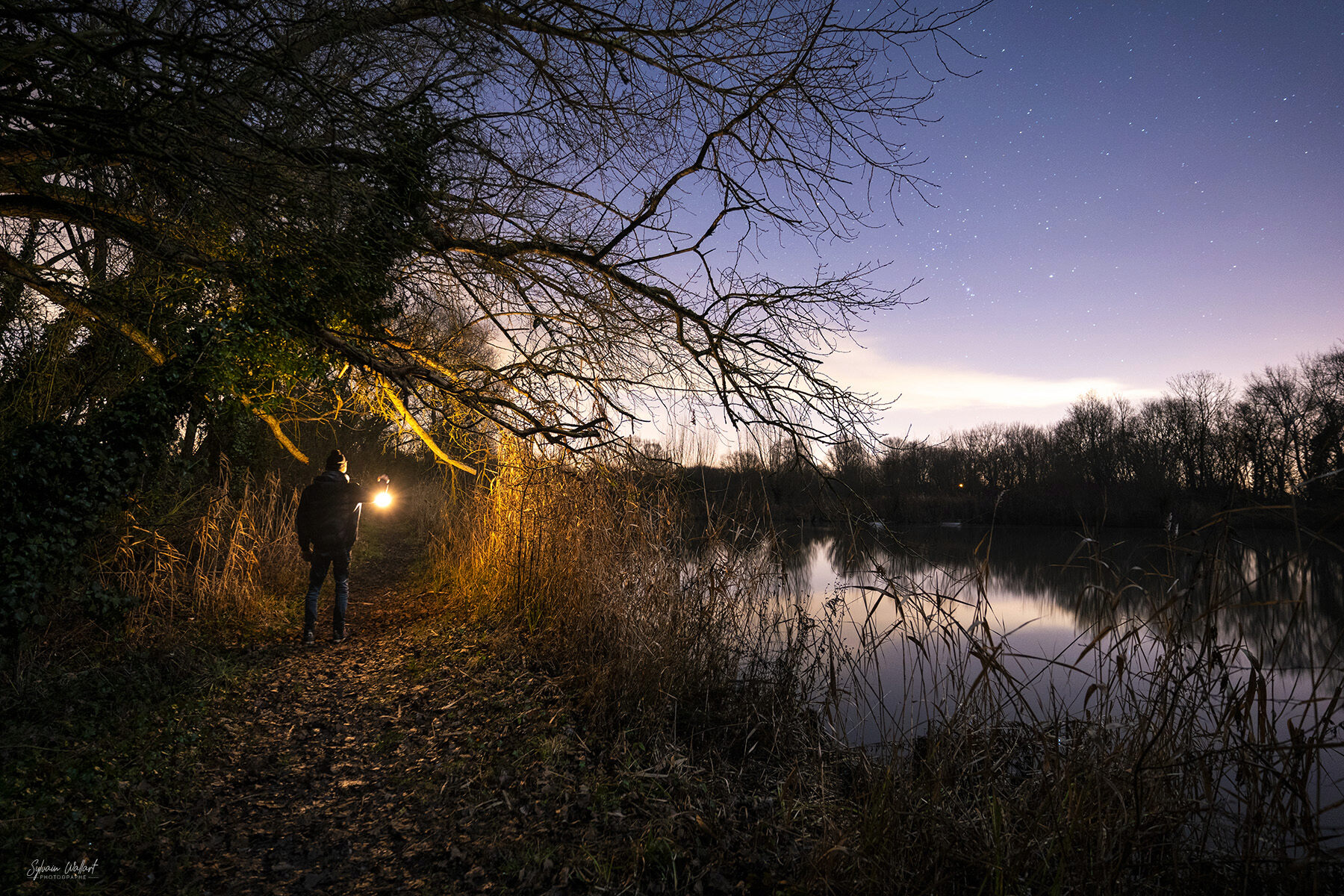 Petite sortie nocturne Dsc04312