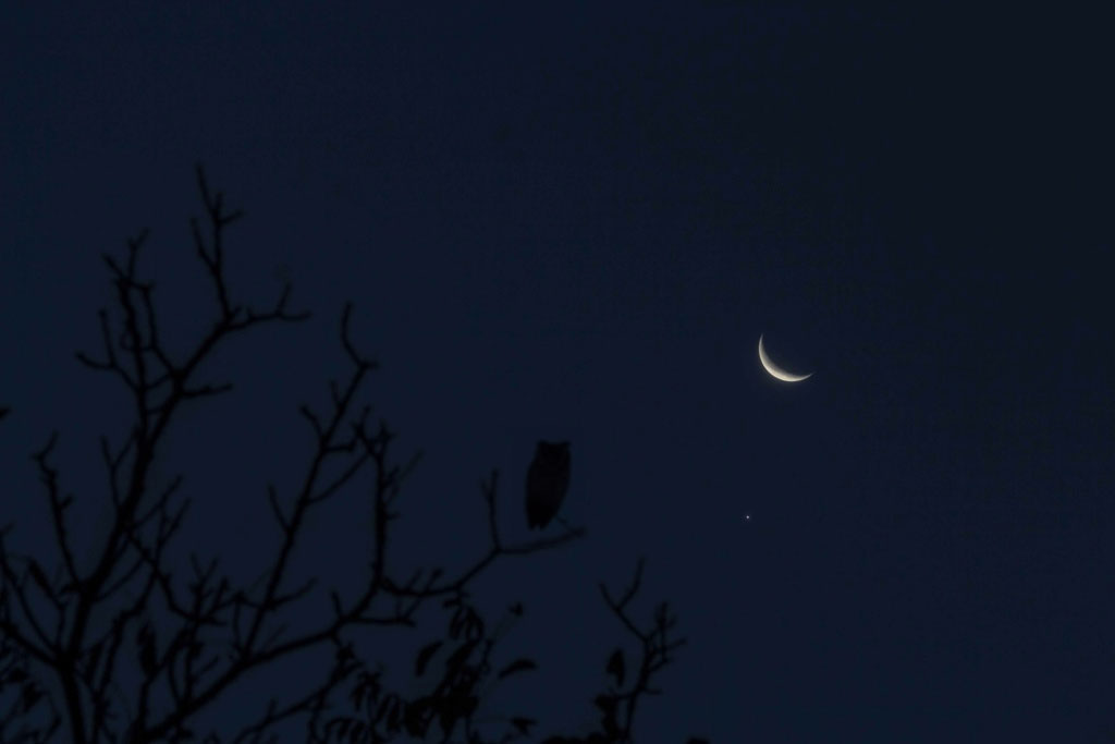 rapprochement Lune et Vénus cette semaine Sans-t10