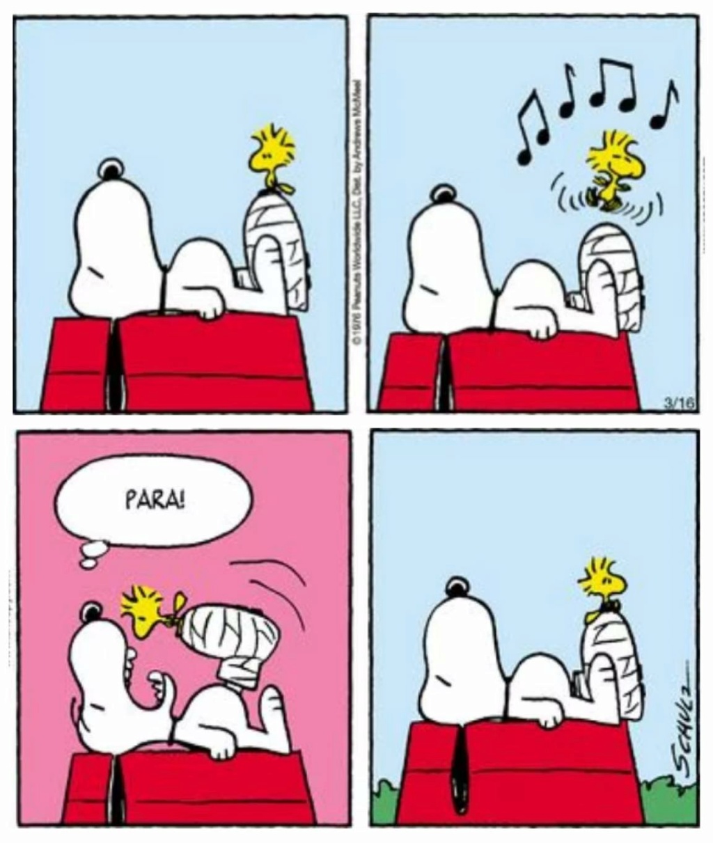 Snoopy e sua turma - Página 2 Snoopy47