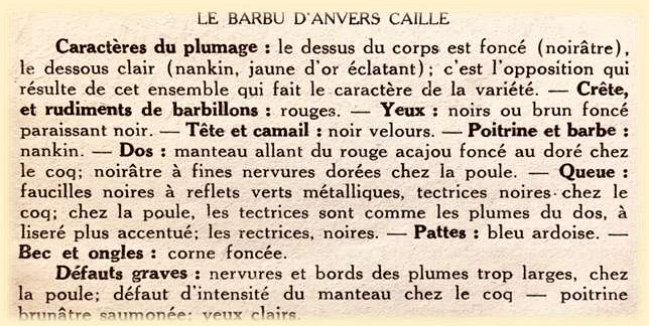 Recherche Barbus d'Anvers Toutes Variétés - Page 2 Captu127