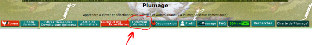 Pouledu69 sera notre éleveur du mois d'Avril (votez pour Mai) et demandez nous un espace perso sur Plumage Captu156