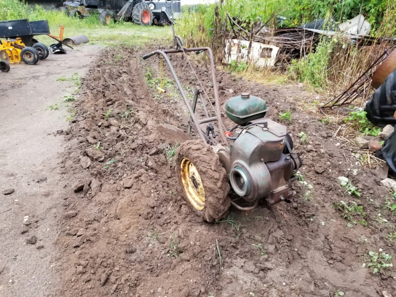 tractor - Garden Tractor Collection 20190303