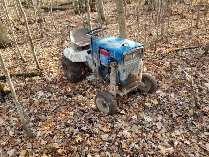 Ford LT 110 Off-Road Build - Page 13 20191148