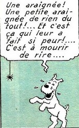 Phénomènes étranges à Lourdes pendant le rosaire Tintin12