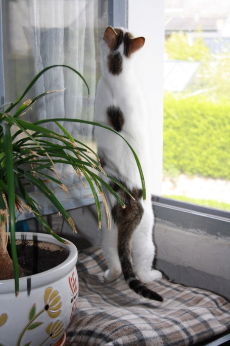 CHICO Img_4914