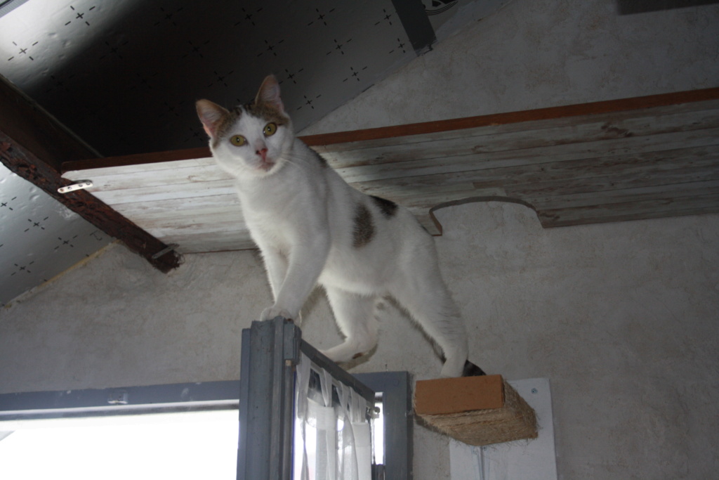 CHICO Img_4915
