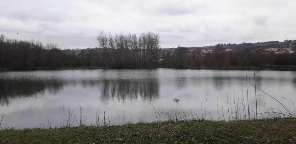 18 janvier 2020 = Sortie pêche du brochet à Anse ( dept 69 ) 311