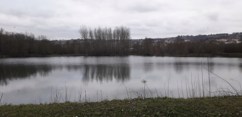 18 janvier 2020 = Sortie pêche du brochet à Anse ( dept 69 )  311