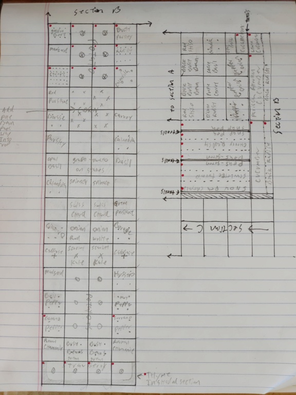 New Raised bed plans. P_202024