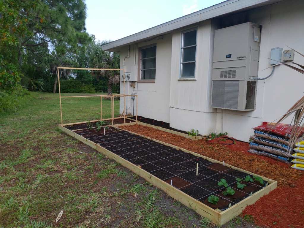 New Raised bed plans. P_202025