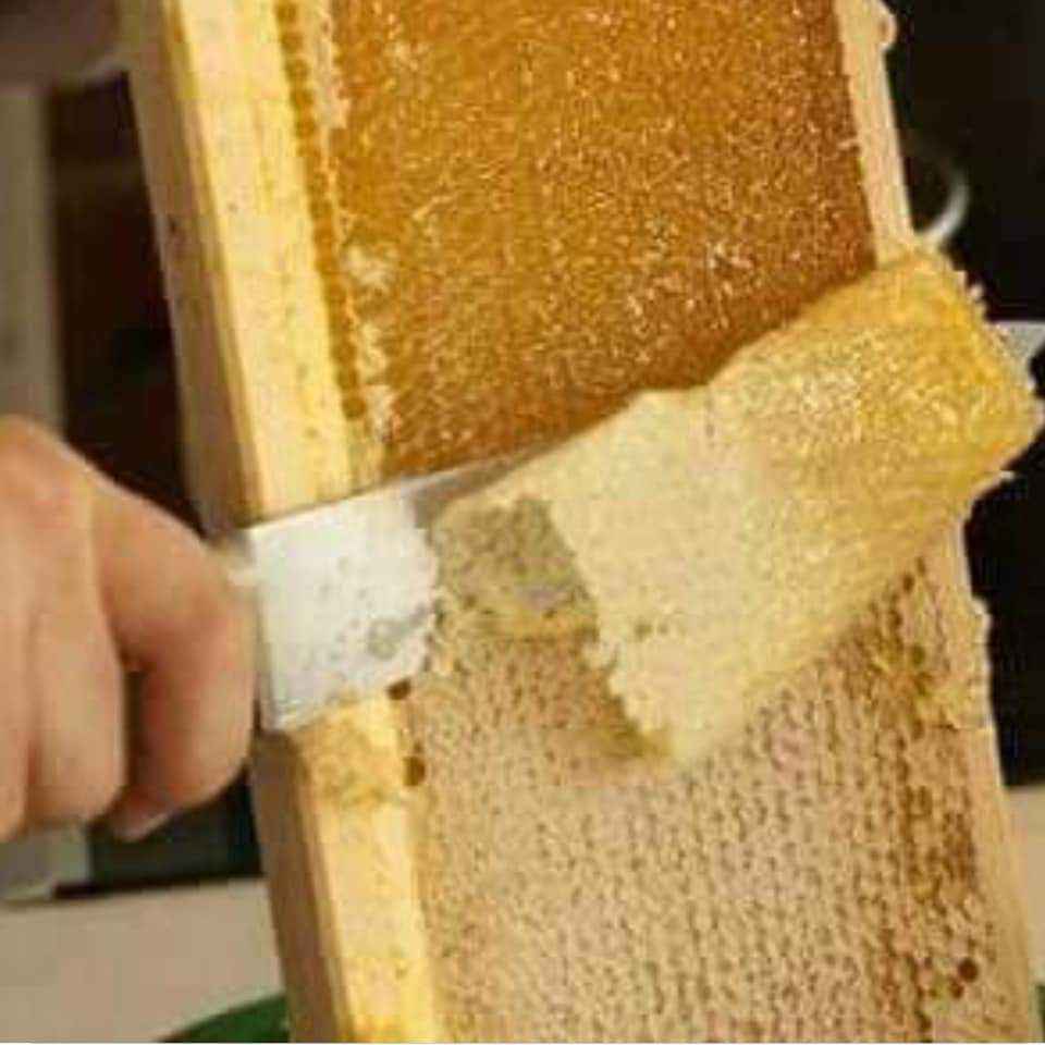 متوفر عسل النحل الربيعي الطبيعي سعر كيلو العسل الطبيعي 50 شيكل فقط 19049910