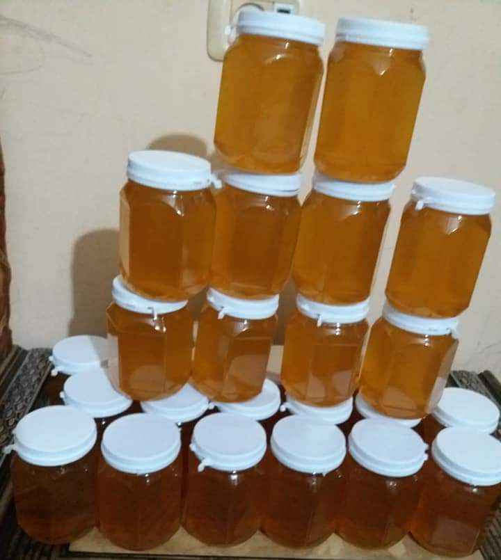 متوفر عسل النحل الربيعي الطبيعي سعر كيلو العسل الطبيعي 50 شيكل فقط 19174810