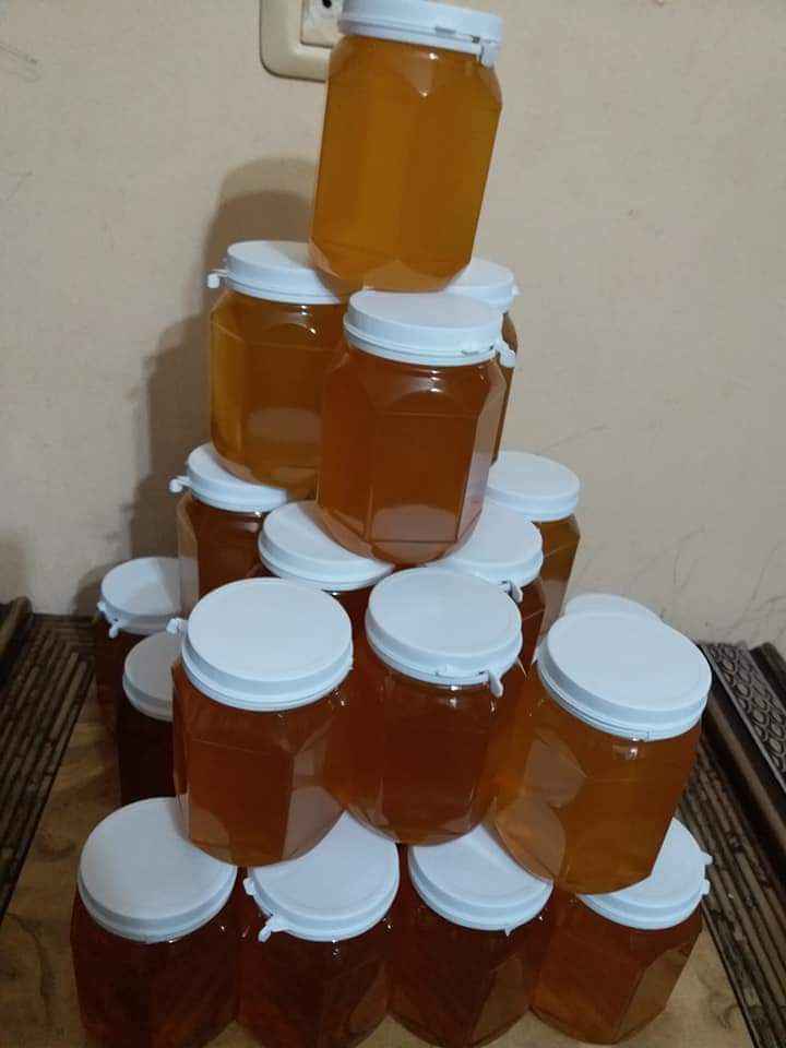متوفر عسل النحل الربيعي الطبيعي سعر كيلو العسل الطبيعي 50 شيكل فقط 19274814