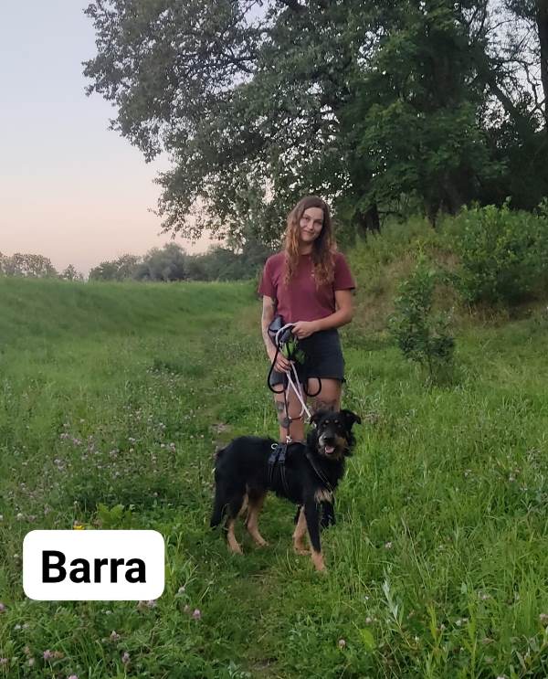 BARRA – Mâle croisé de taille moyenne - Né en octobre 2021 environ – Refuge de GABRIELA - Adopté en Allemagne Barra-27