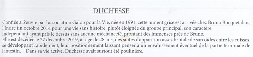 DUCHESSE - OI née en 1991 - accueillie en octobre 2014 chez Pech-Petit - Page 6 Duches10