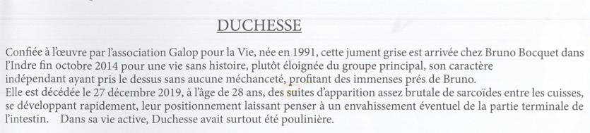 DUCHESSE - OI née en 1991 - accueillie en octobre 2014 chez Pech-Petit - Page 6 Duches10