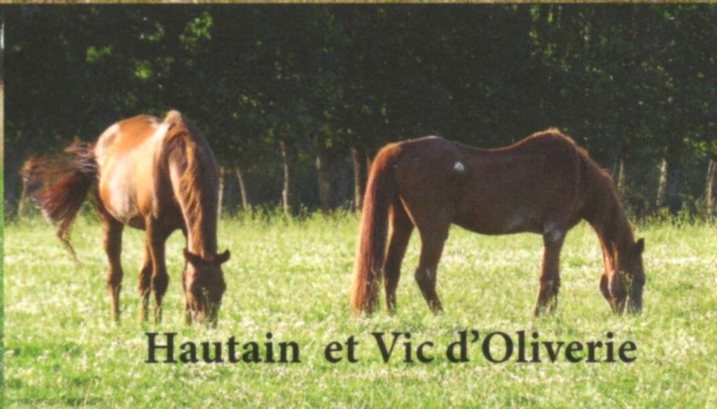 VICC - TF né en 1987 - accueilli en avril 2015 chez Pech-Petit Hautai11