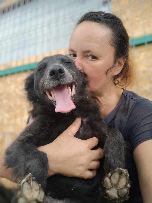 LASSIE – Femelle croisée de petite taille (8kg) – née en 2014 environ – Refuge de Gabriela - Adoptée via une autre asso Lassie11