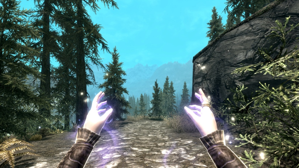 I tested SR4.0.0 and I see some graphic issues. Skyrim11