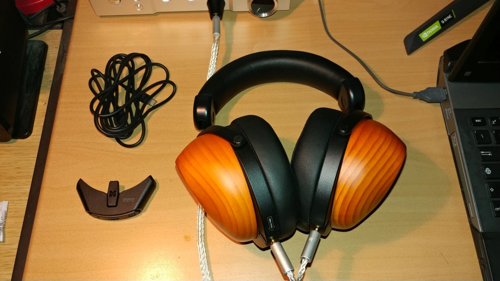 Hifiman HE-R10D (Wired) He310