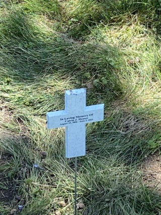 Little brother and I paid our respects Calvin10