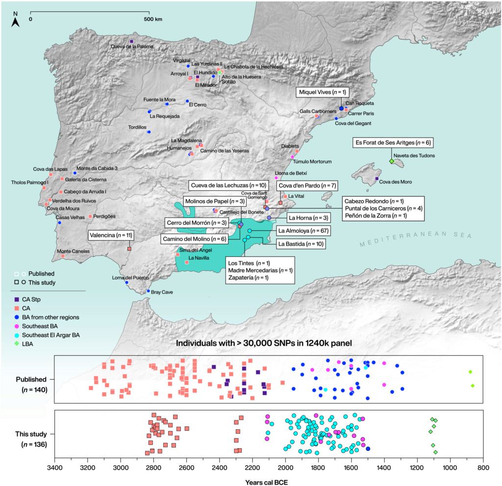 Genomic transformation and social organization during the Copper Age–Bronze Age transition in southern Iberia-3 0913