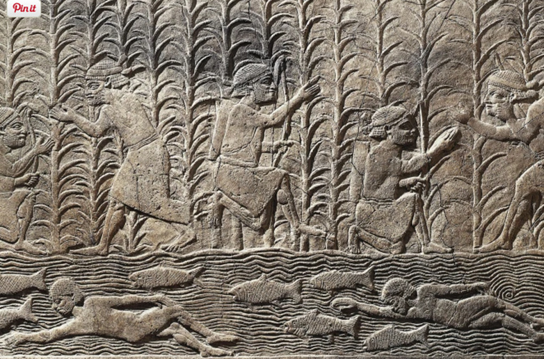 التقدم العلمى فى الحضارة السومرية 1--80