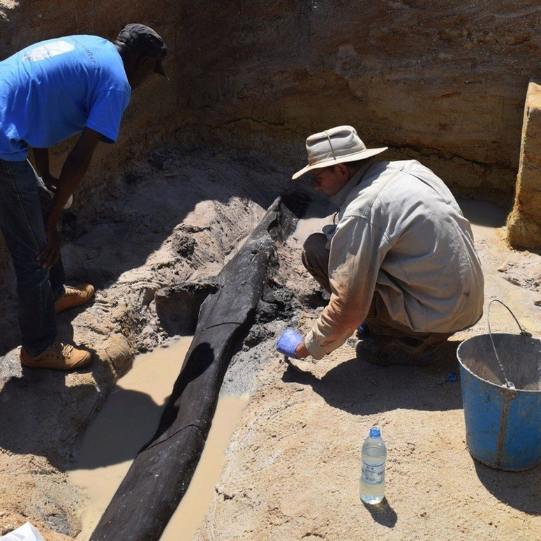 باحثون يكتشفون هيكلاً خشبياً عمره نصف مليون عام في إفريقيا 1-136