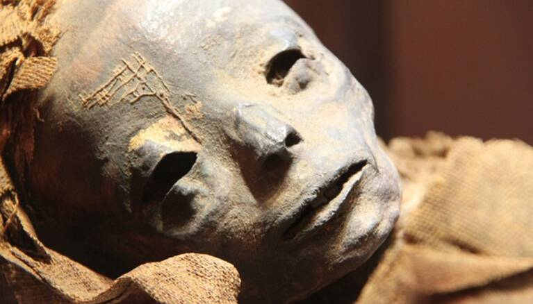 Une reconstitution faciale révèle le visage d'un homme qui vivait il y a 9600 ans au Brésil 1-310