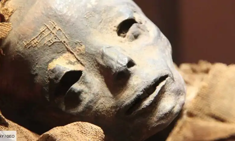 Une reconstitution faciale révèle le visage d'un homme qui vivait il y a 9600 ans au Brésil 1-311