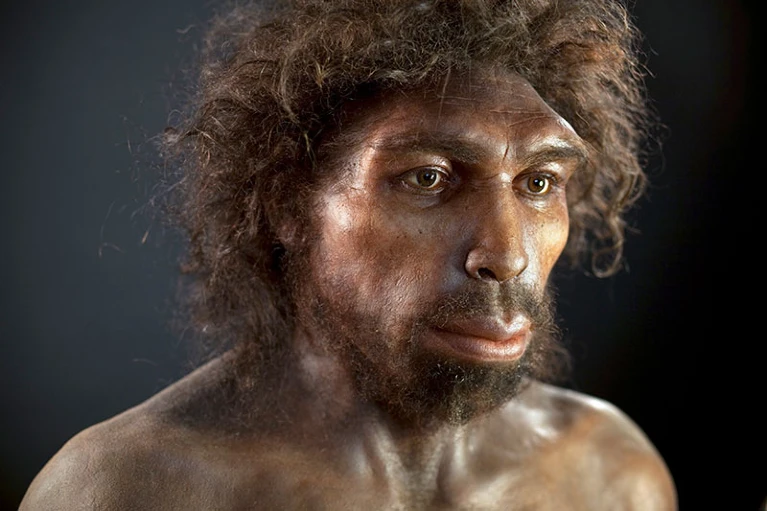 تقول الدراسة إن أسلاف الإنسان كانوا على وشك الانقراض منذ حوالي 900 ألف عام 1-778