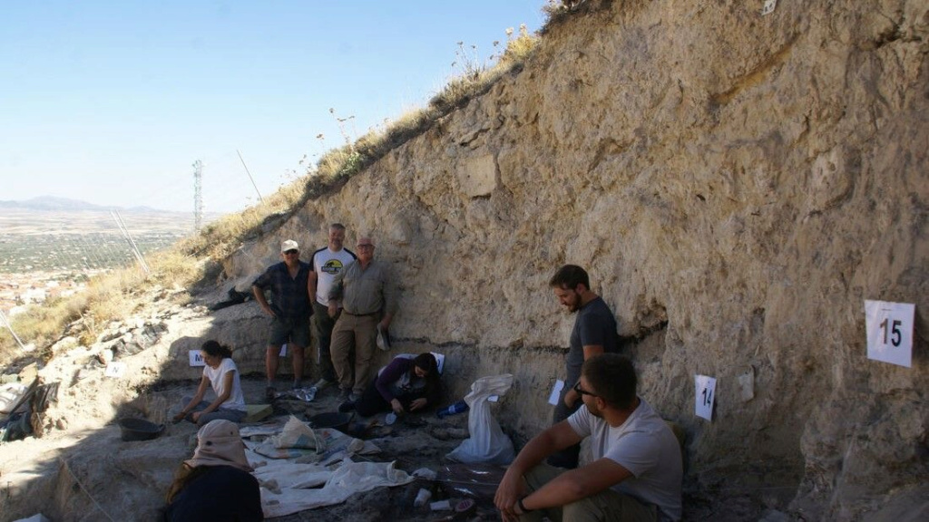 تم اكتشاف حفرية آخر تمساح في أوروبا عمرها 4.5 مليون سنة في إسبانيا 1-890