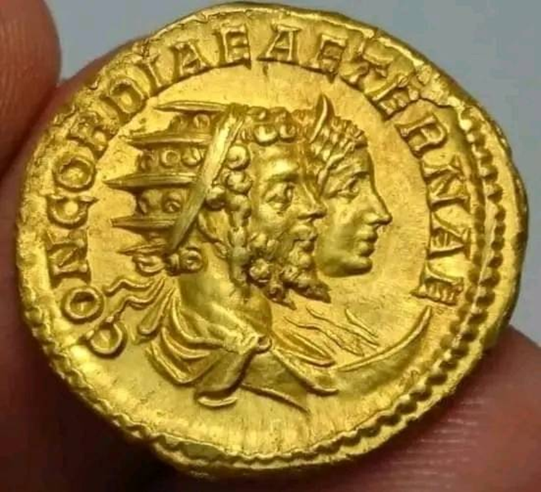 سبتيموس سيفيروس و الحسناء جوليا على قطعة نقدية 1-961