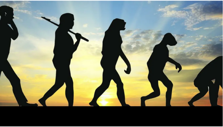 التطور العكسي: كائنات حية تطورت بشكلٍ معاكس وفقدت بعض صفاتها المعقدة 1239
