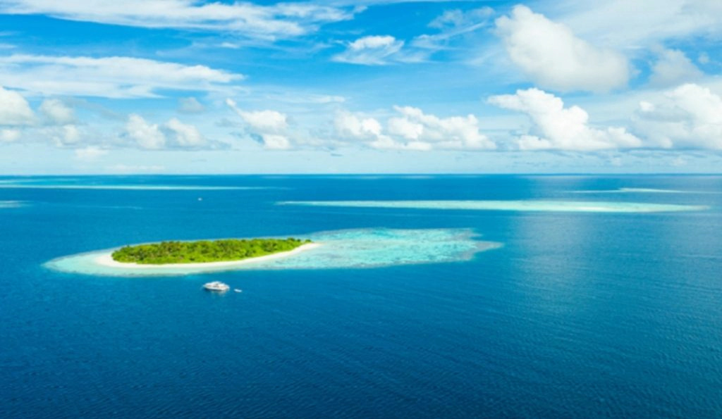 غواصة بحرية تكتشف واحة مخفية في أعماق محيط جزر المالديف - نداء بوست 1264