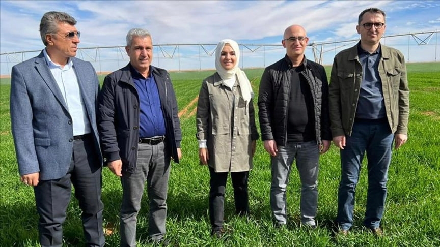 Une Entreprise Turque Met En Œuvre Un Projet Agricole Réussi Dans Le Désert Algérien 1325