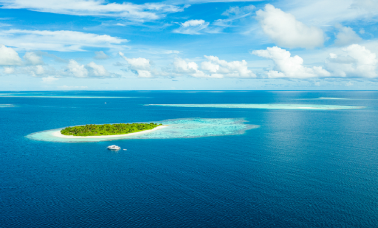 اكتشاف “واحة الحياة” المخفية في أعماق المحيط في جزر المالديف 1625