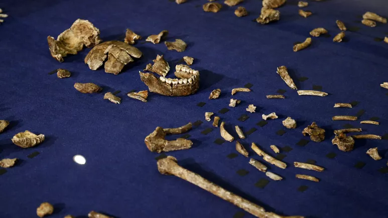 باحثون يعلنون اكتشافهم في جنوب إفريقيا لأقدم مقابر ما قبل التاريخ 1864