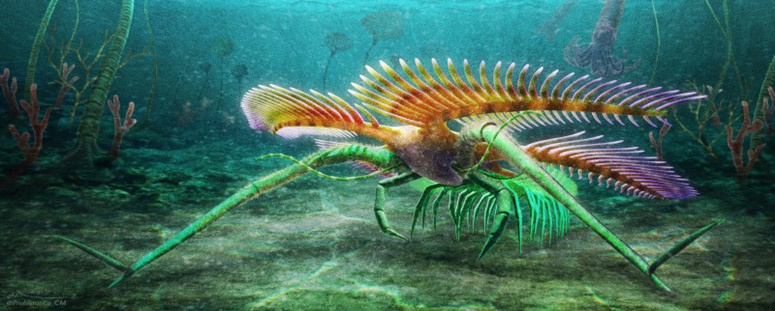 عمره يقارب نصف مليار عام.. اكتشاف حيوان بحري أقدم من الديناصورات 1_bmp19