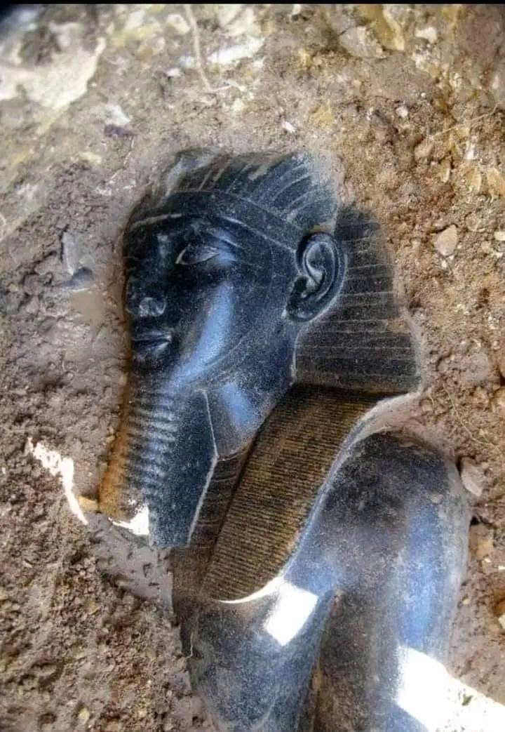 اكتشاف تمثال الملك امنحتب الثالث 2-15