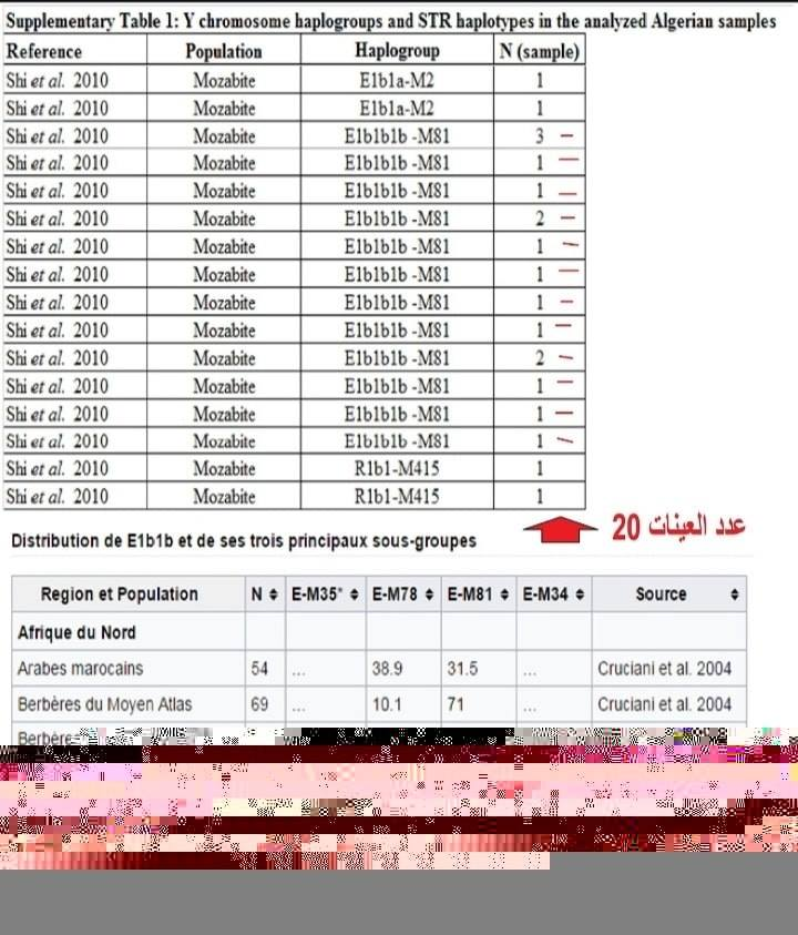 أصول أمازيغ بني مزاب حسب علم الجينات 2139