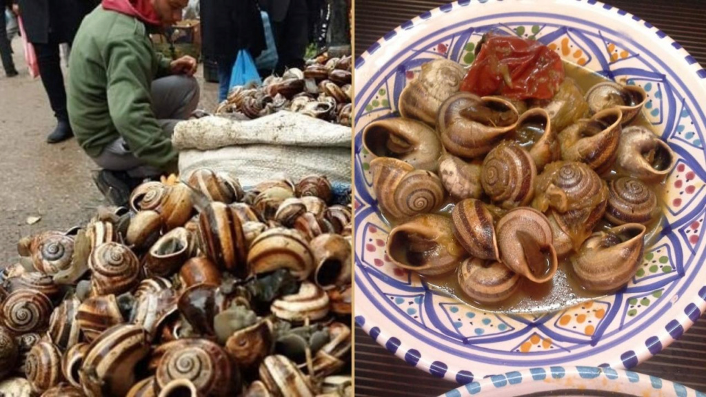 Escargots à l’oranaise, un délice de la cuisine algérienne 236