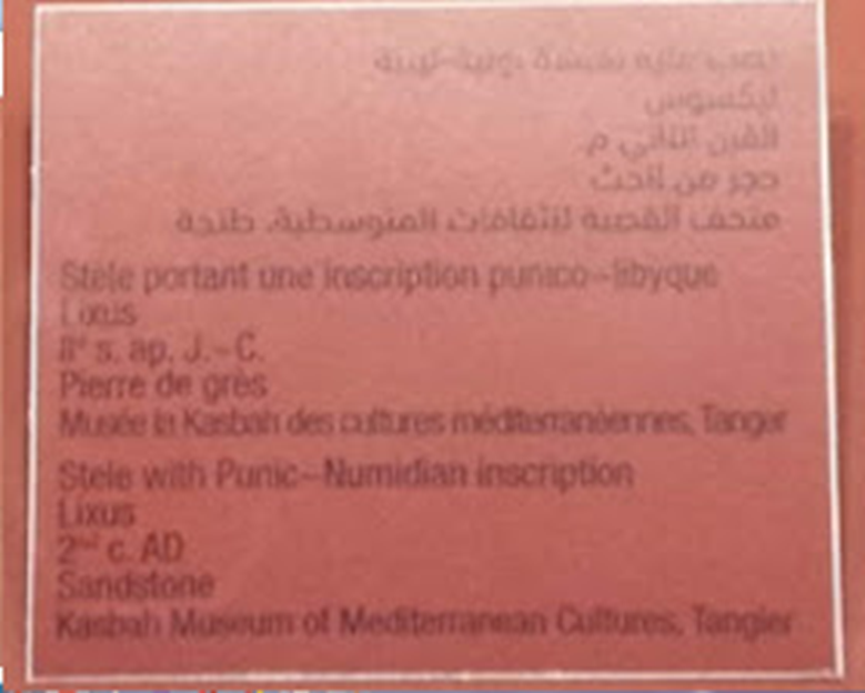 الكتابة والخط الامازيغي (التيفيناغ) من اقدم الخطوط المكتشفة وقبل الفينيقية و اليمنية 8211