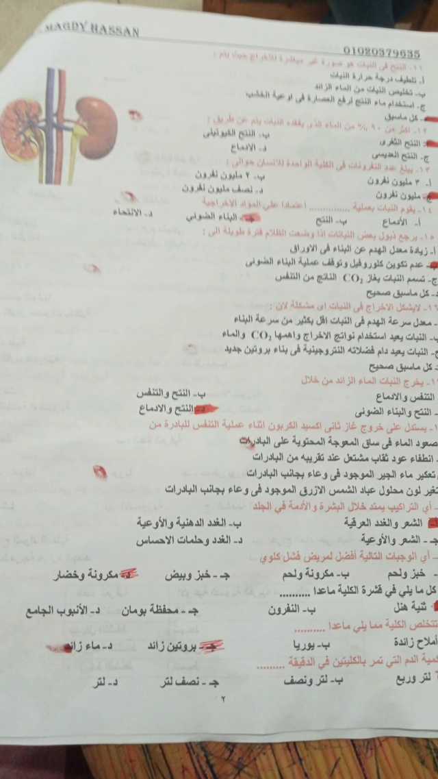 مراجعة الأحياء للصف الثاني الثانوي ترم ثاني PDF أ. مجدي حسن 524