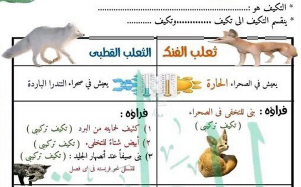 مذكرة العلوم رابعة ابتدائي ترم أول 2024 م. جميلة الصعيدي Scree171